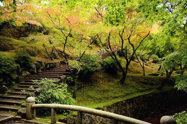 Art Stay In Tofukuji Kyoto Eksteriør bilde